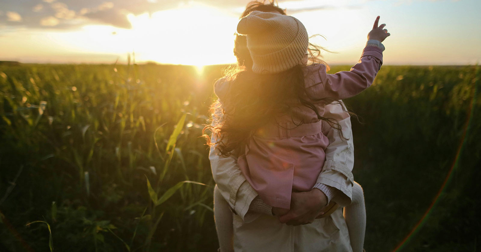 What Is Life Insurance